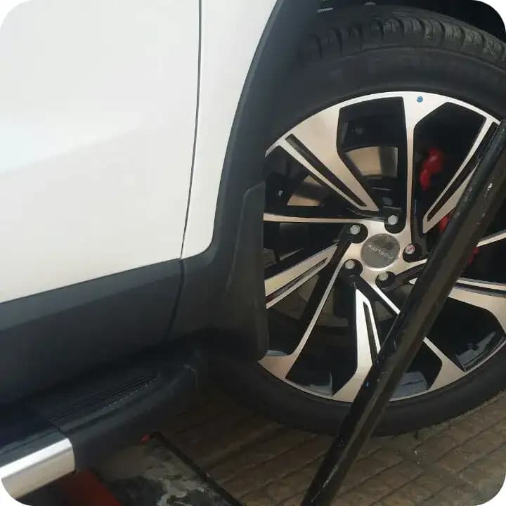 گل پخش کن فیدلیتی